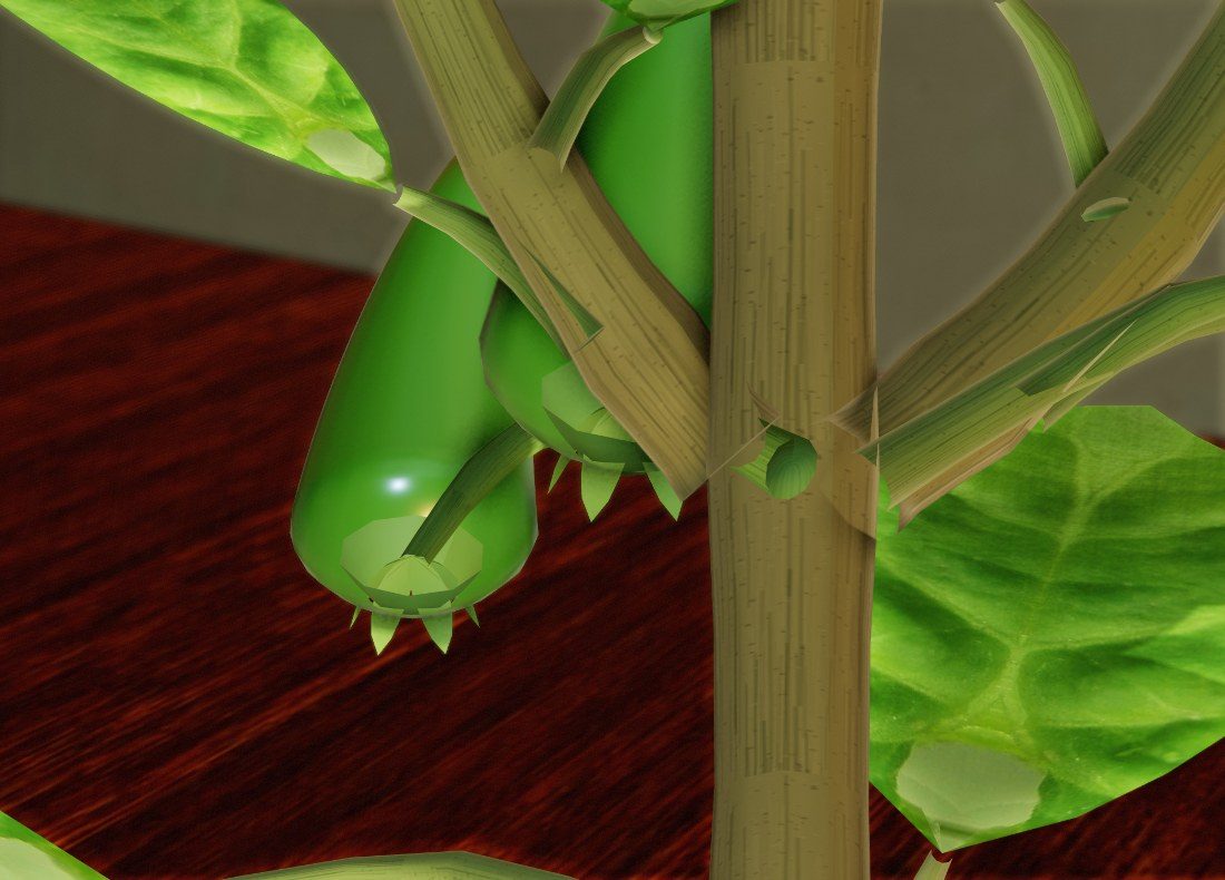 Green Chilli Pepper pods hanging among the stems