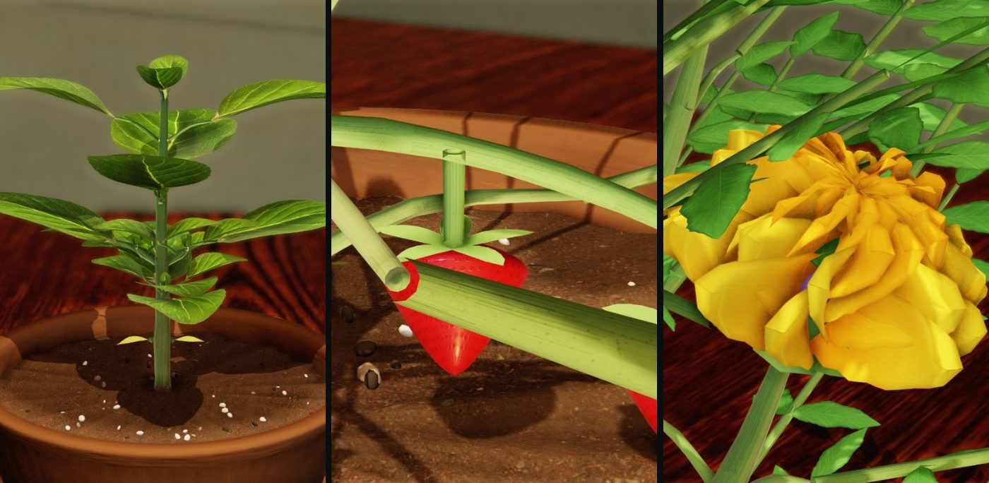 Three Sill One plants side by side, as the game draws them: a young Sweet Basil in its pot, Alpine Strawberries over the soil, and a French Marigold in flower