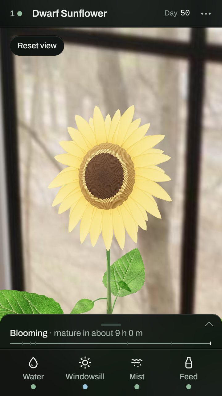 The camera moved in close to the sunflower’s open head, with a Reset view chip in the corner