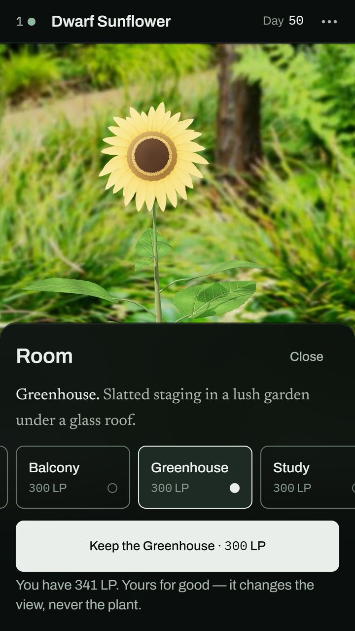The Room sheet over the live scene, trying the Greenhouse with the plant in it, and a button to keep it for 300 Leaf Points